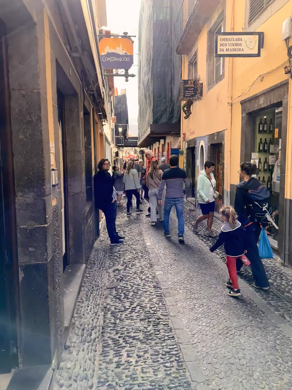 A cobblestone alley in Funchal's old town, Madeira